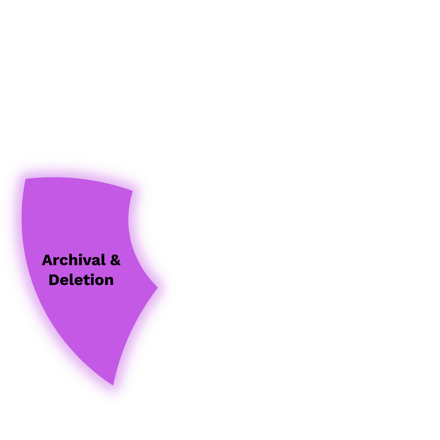 Data Archive Icon
