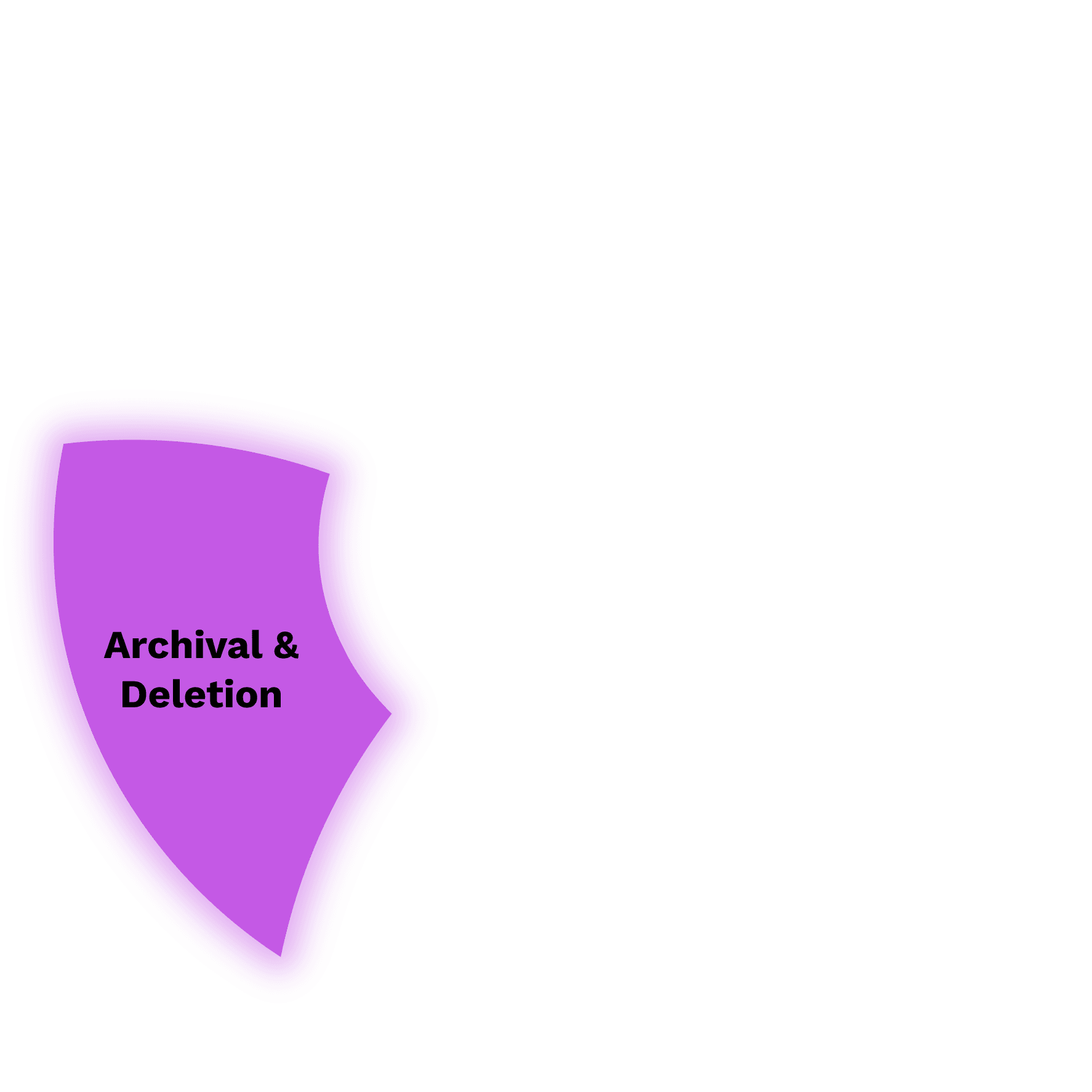 Data Archive Icon