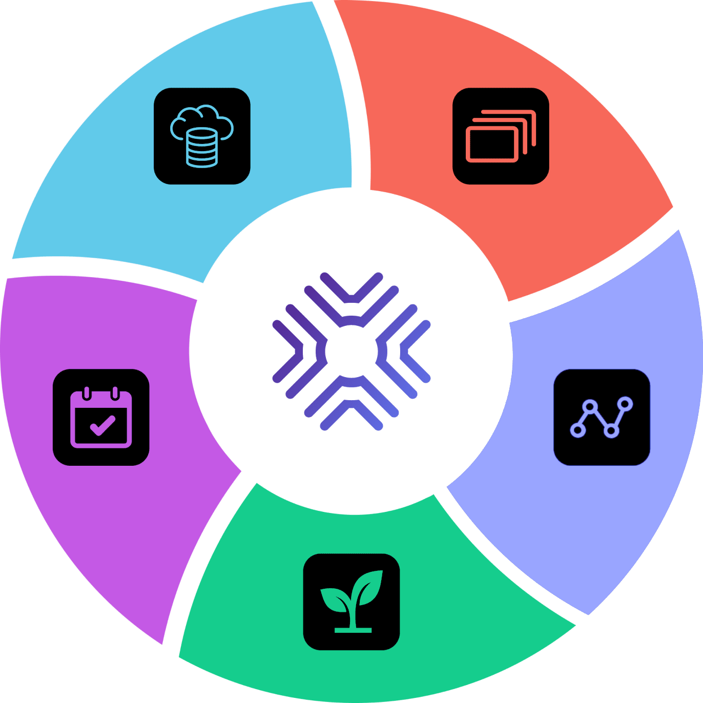 DLM Graphic
