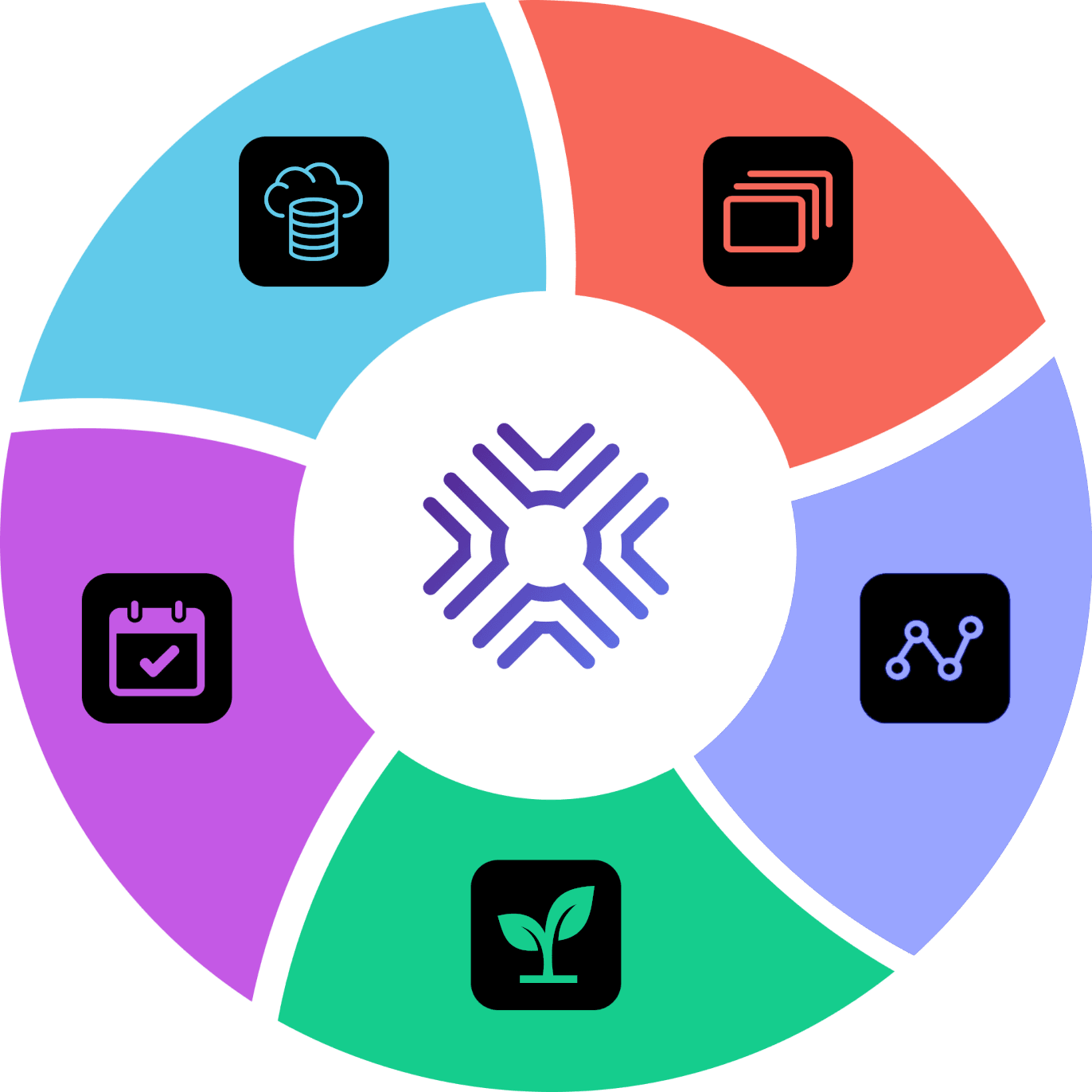 DLM Graphic