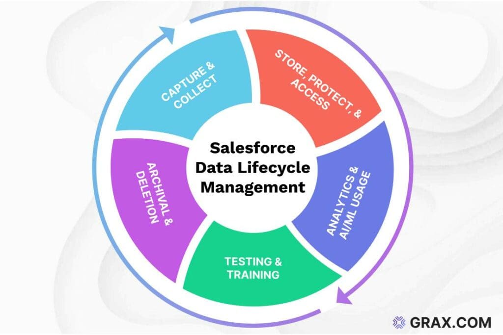 Salesforce Data Lifecycle Management