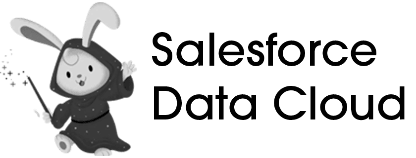 Salesforce Data Cloud Logo